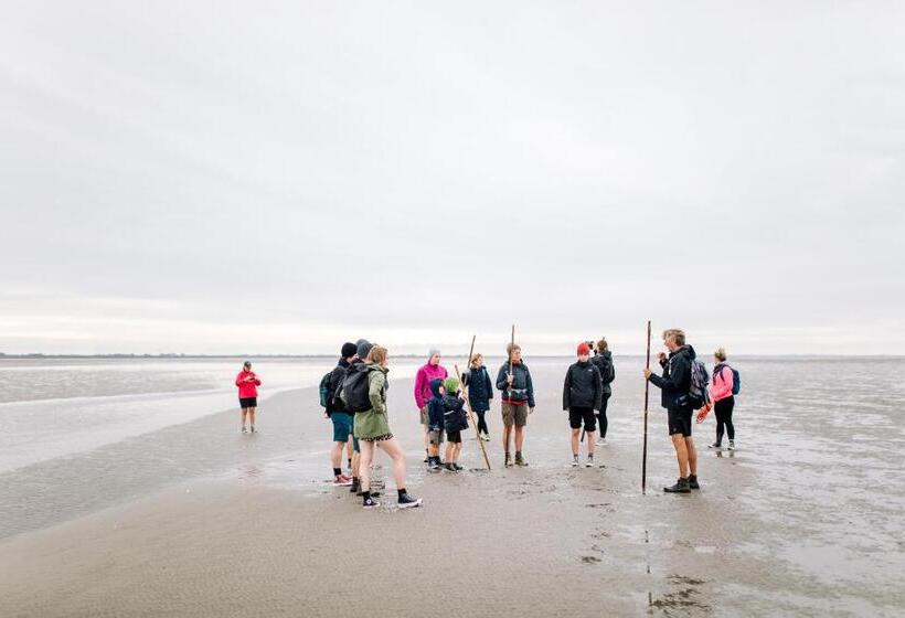 Ostello Logementen Dokkum