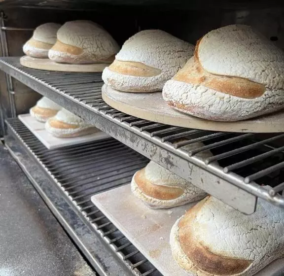 ベッドアンドブレックファースト 1839 Cottages