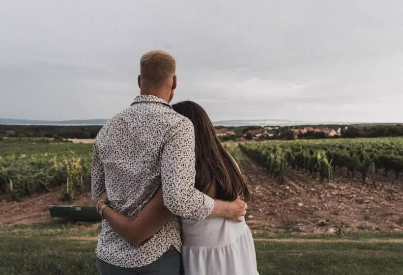 ベッドアンドブレックファースト Dobosi Birtokközpont