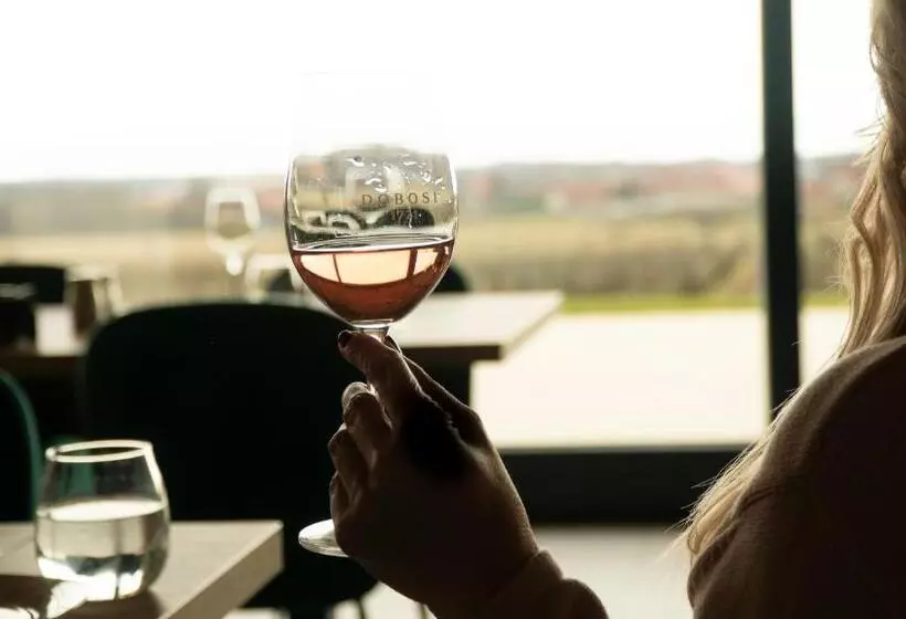 ベッドアンドブレックファースト Dobosi Birtokközpont