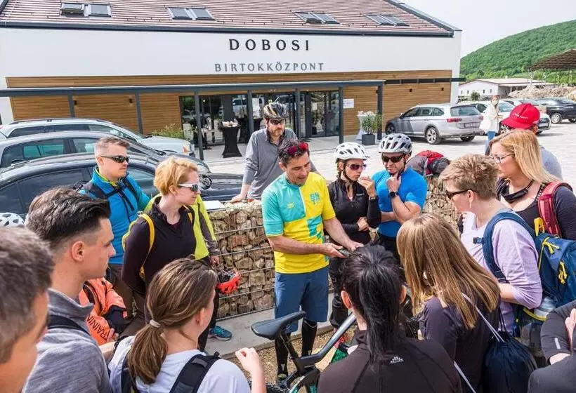 ベッドアンドブレックファースト Dobosi Birtokközpont