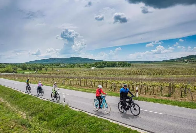 ベッドアンドブレックファースト Dobosi Birtokközpont