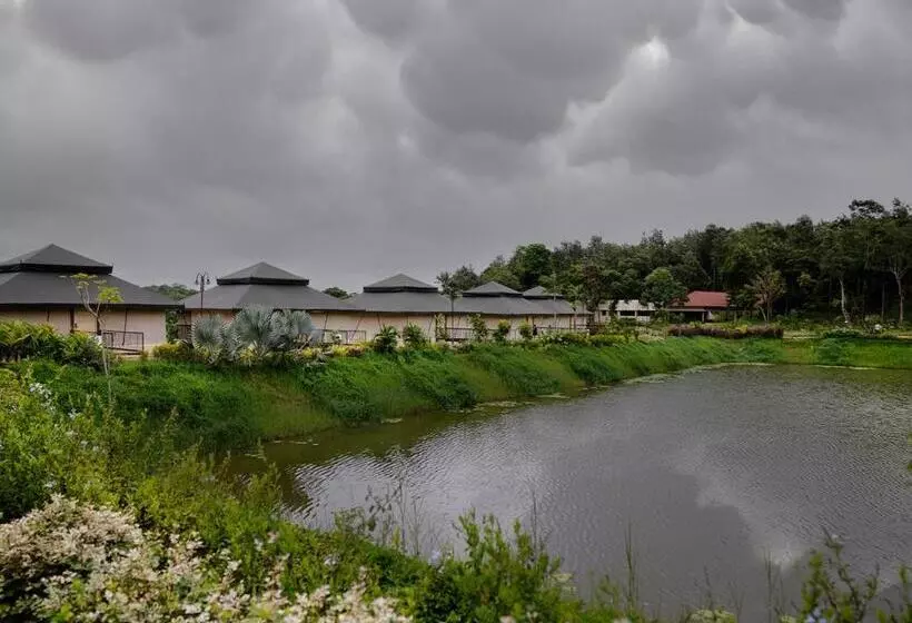 Lomakeskus Rosetta By Ferns