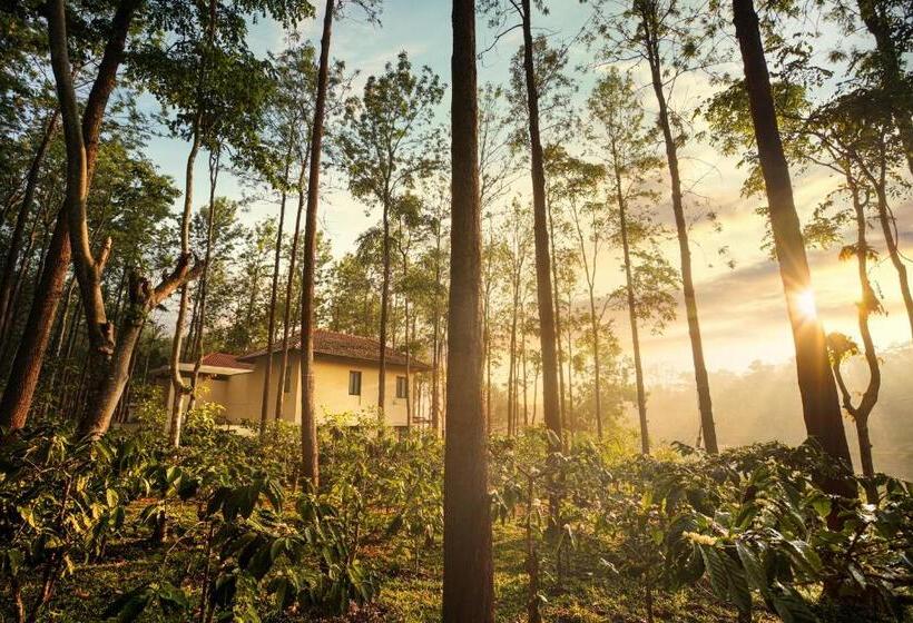 Resort Rosetta By Ferns