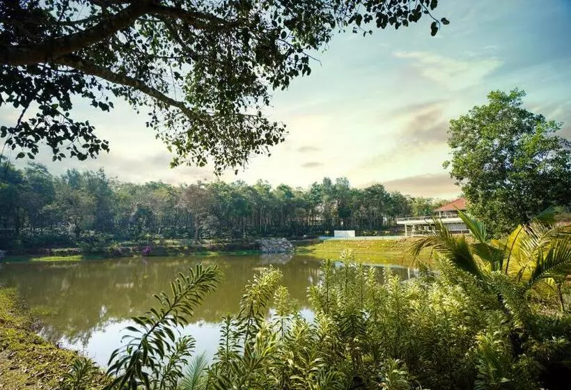 Lomakeskus Rosetta By Ferns