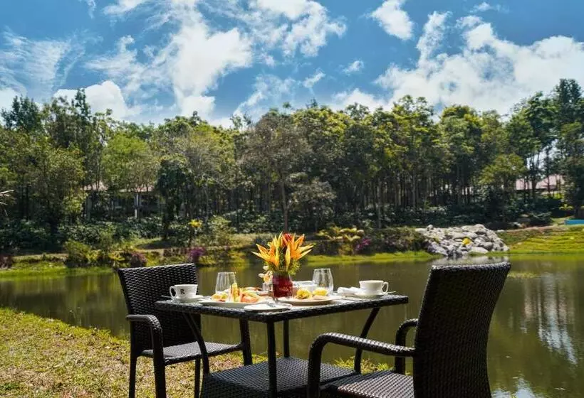 Lomakeskus Rosetta By Ferns