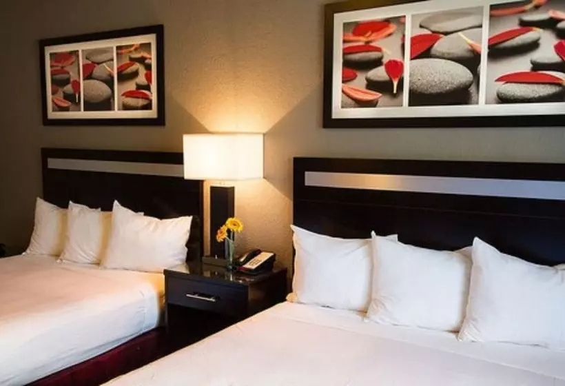 Szálloda Granada Inn