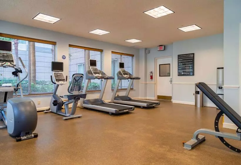 ホテル Hilton Garden Inn Orlando East/ucf Area