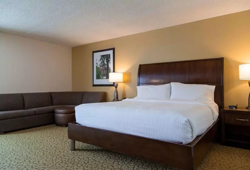 ホテル Hilton Garden Inn Orlando East/ucf Area