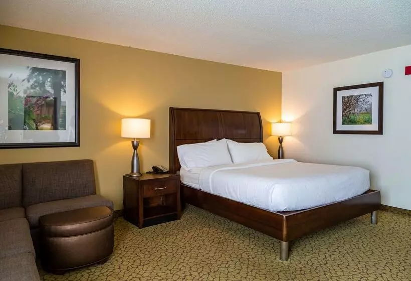 ホテル Hilton Garden Inn Orlando East/ucf Area