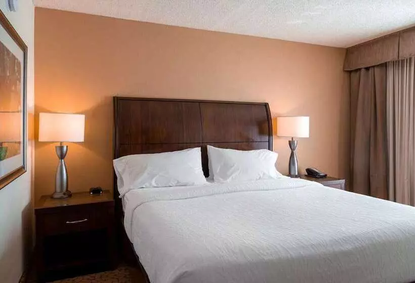 ホテル Hilton Garden Inn Orlando East/ucf Area