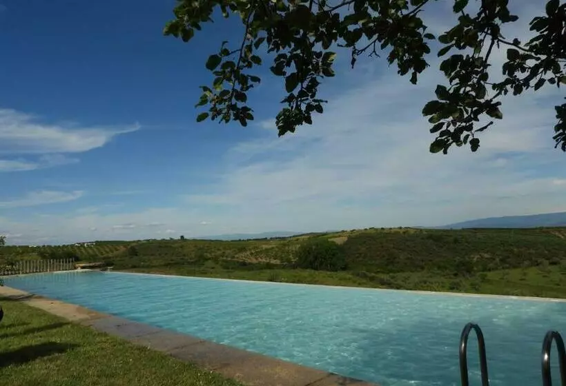 Отель Quinta Da Alagoa