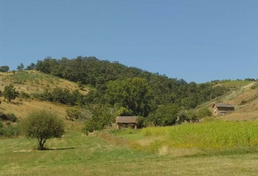 Отель Quinta Da Alagoa