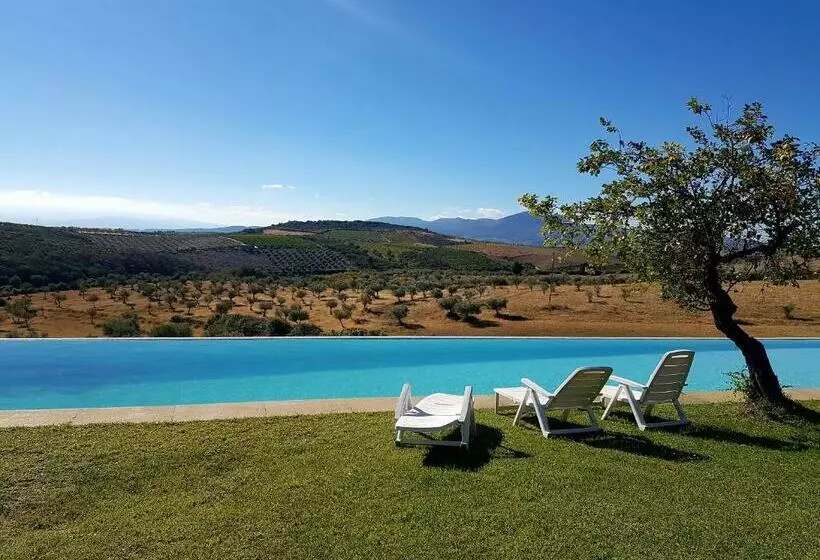 Отель Quinta Da Alagoa