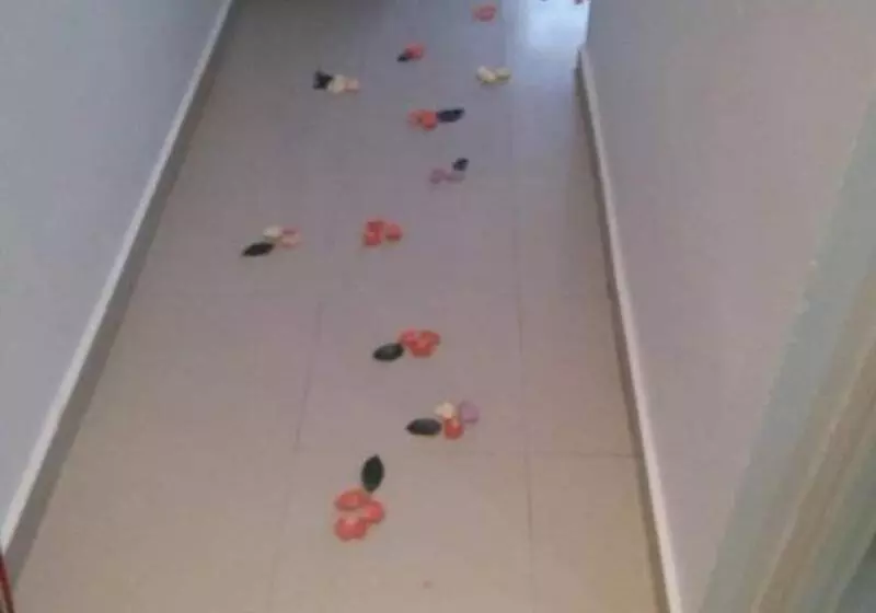 هتل Rym El Djamil