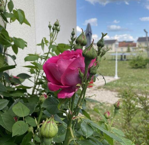 호텔 Villa Bellagio Amboise By Popinns