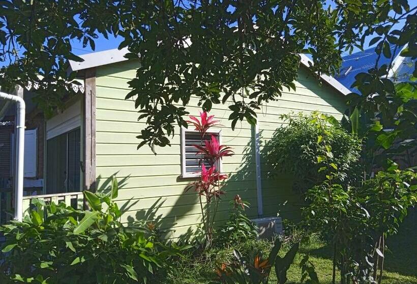 تختخواب و صبحانه La Case O Gecko974