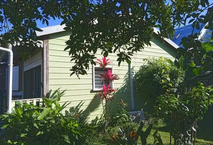 تختخواب و صبحانه La Case O Gecko974