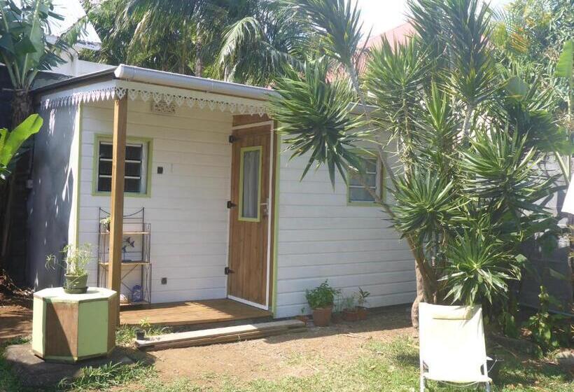 تختخواب و صبحانه La Case O Gecko974