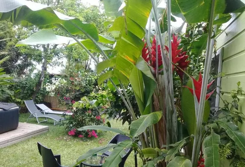 تختخواب و صبحانه La Case O Gecko974