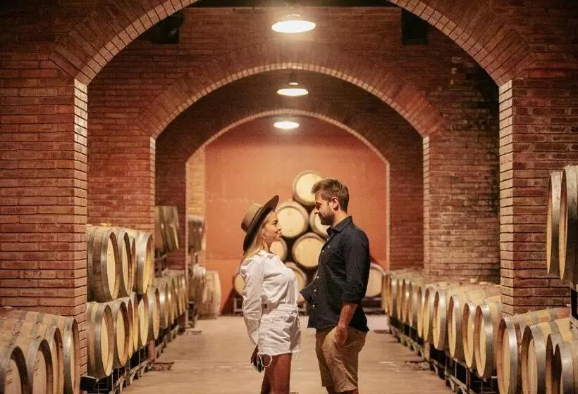 Casa Agostino   Luxury Wine And Hotel In Bodega Agostino