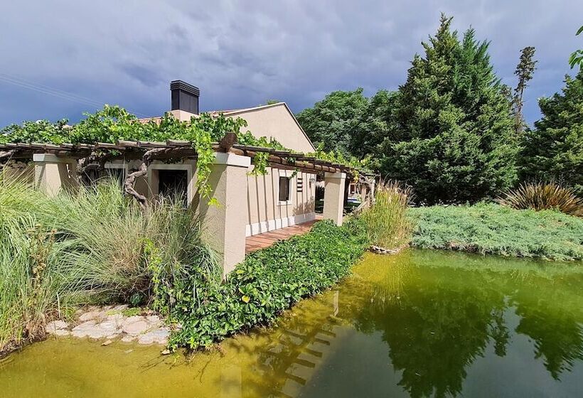 Casa Agostino Luxury Wine And Hotel In Bodega Agostino