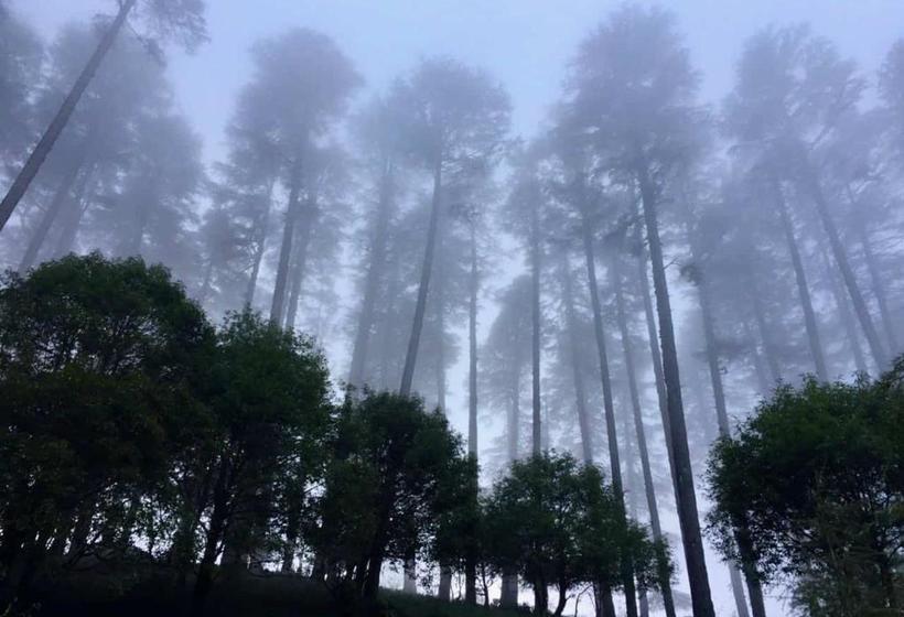 Hotel Madhuban Sarovar Portico Mussoorie