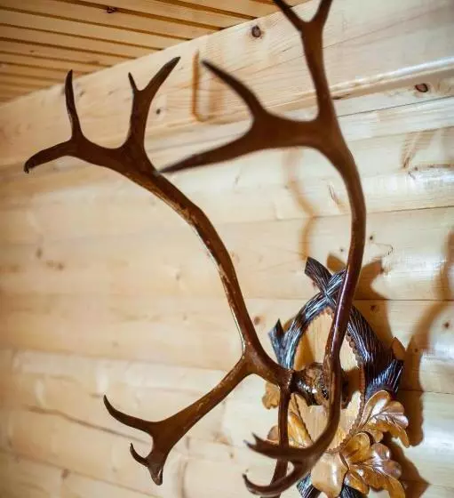 Majatalo Gazdіvska Hata Guest House