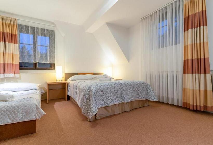 펜션 Penzion Sykovec