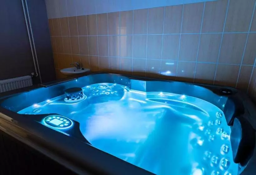 ペンション Penzion Sykovec