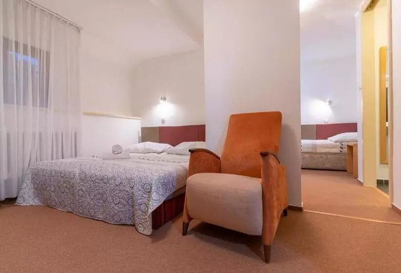 ペンション Penzion Sykovec