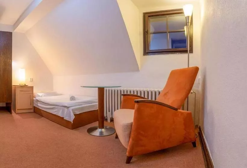 ペンション Penzion Sykovec