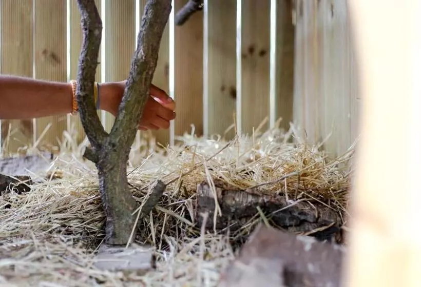 민박 Monte Do Areeiro