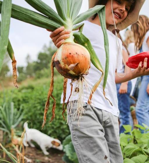 تختخواب و صبحانه Monte Do Areeiro