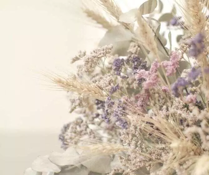 Отель Fonda Mitjà