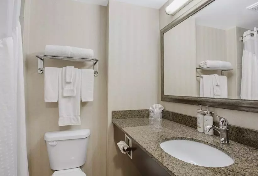 Holiday Inn Express Hotel & Suites   Slave Lake, An Ihg