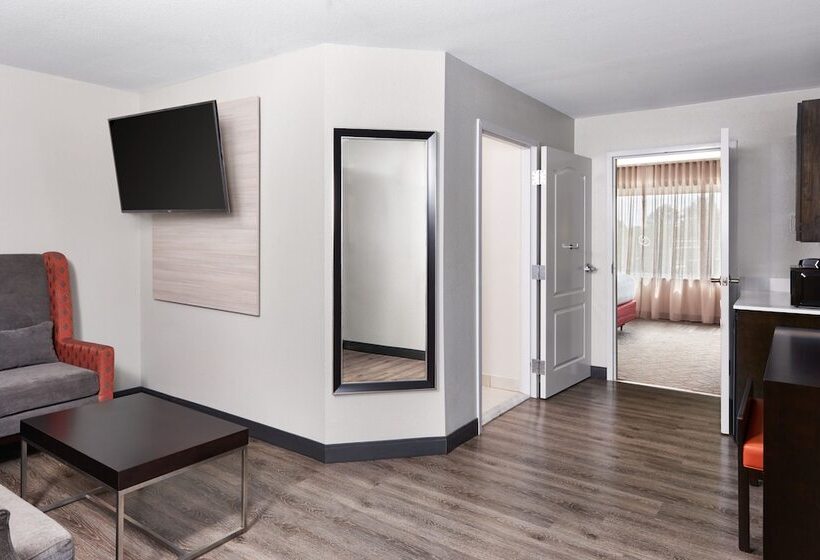 בית מלון כפרי Springhill Suites By Marriott Conyers