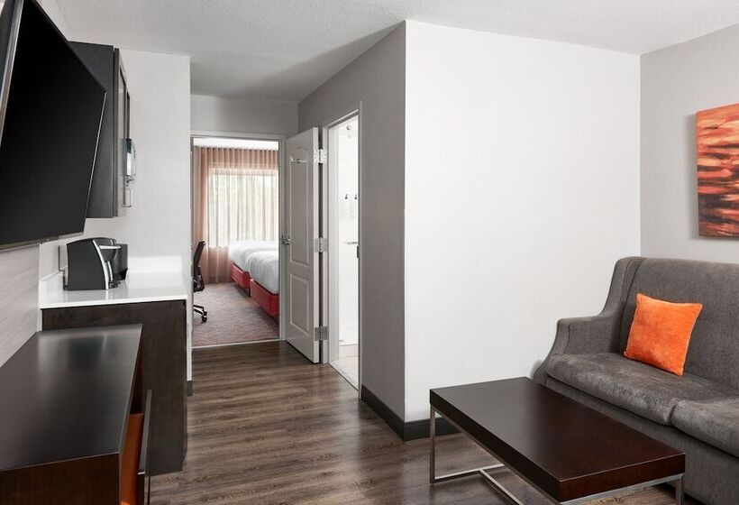 Szálloda Springhill Suites By Marriott Conyers