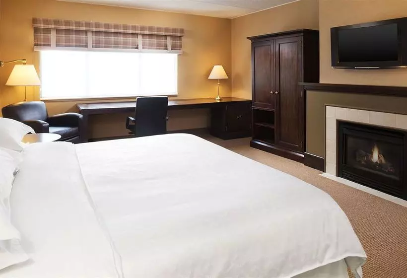 Sheraton Minneapolis Midtown Hotel