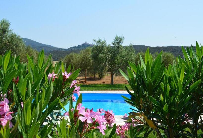 בית מלון כפרי Agriturismo Il Portico