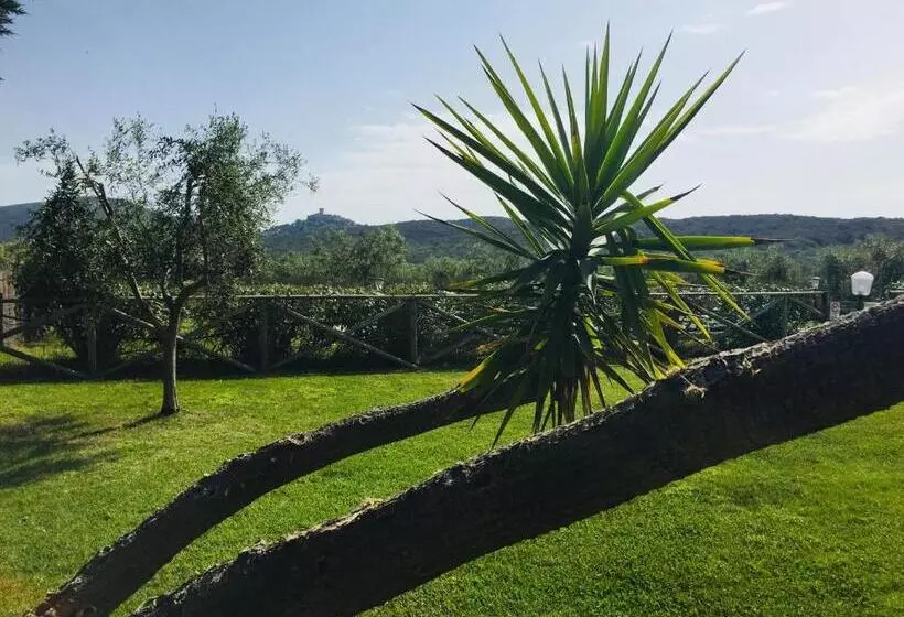 هتل Agriturismo Il Portico