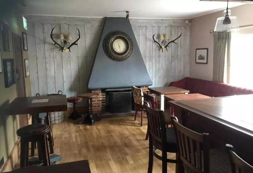 Aamiaismajoitus (B&B) The Swan Inn