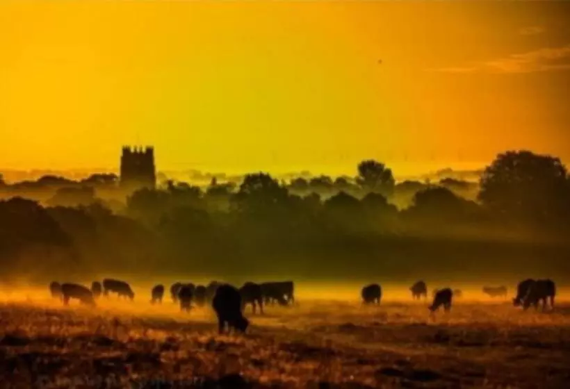 Charming 2 Bed Cottage On Outskirts Of Beverley