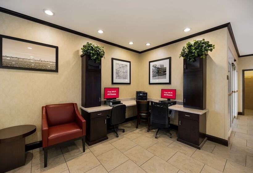 汽车旅馆  Red Roof Inn Pecos