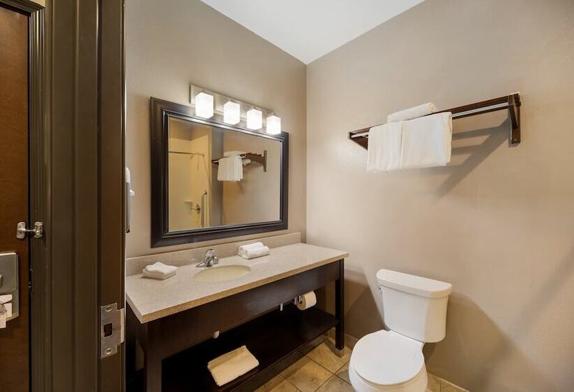 汽车旅馆  Red Roof Inn Pecos