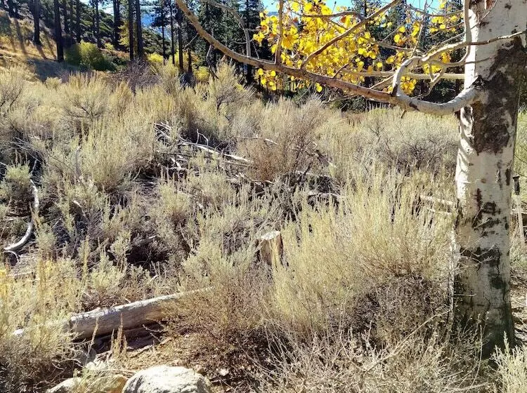 Motelli The Woodfords Inn