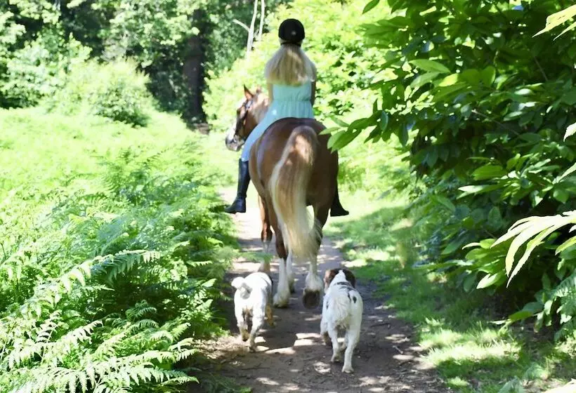 Queen Bower Farm Lodge
