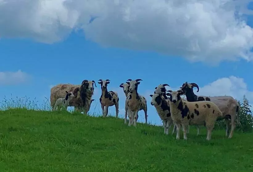 Queen Bower Farm Lodge