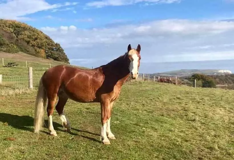 Queen Bower Farm Lodge