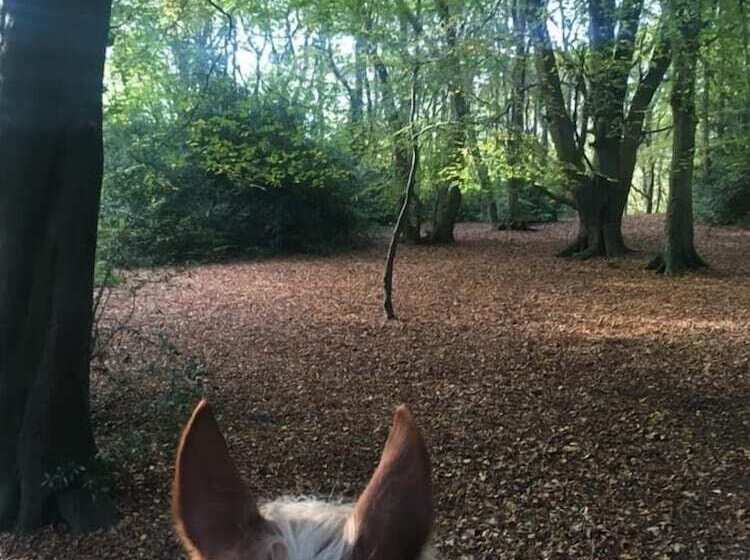 Queen Bower Farm Lodge